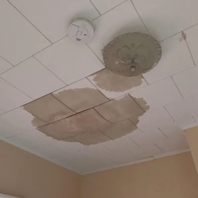 Ceiling Water Damage Repair in Munsons Corners, NY